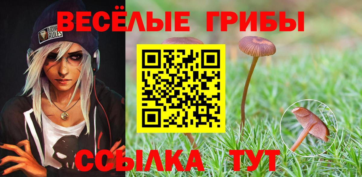 Псилоцибиновые грибы мухоморы Гудермес